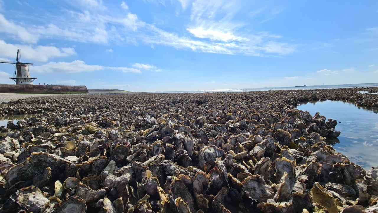 Appartement Havenzicht, Gelegen Aan Zee Met Zeezicht Vlissingen Esterno foto
